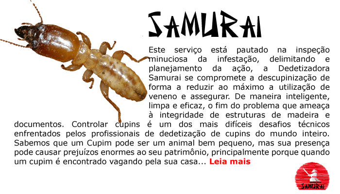 Dedetização de Cupins