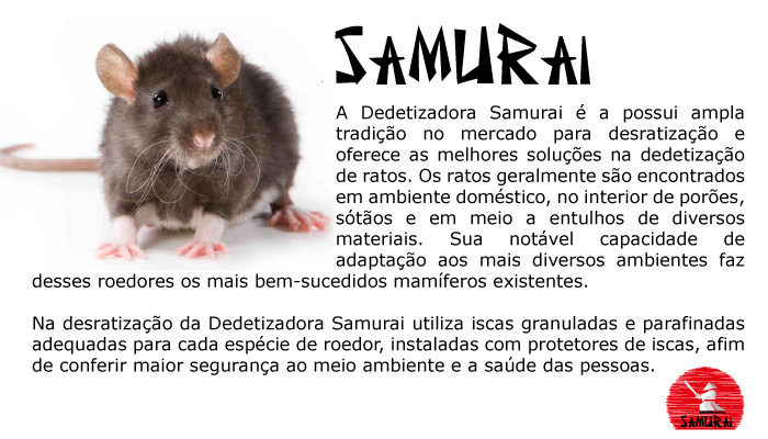 Dedetização de Ratos