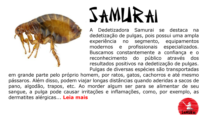 Dedetização de Pulgas