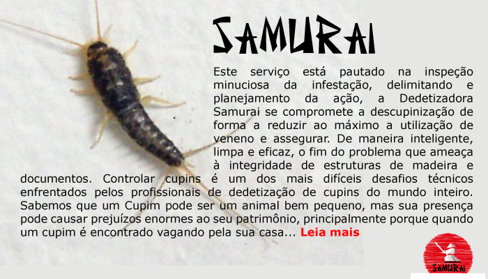 Dedetização de Traças